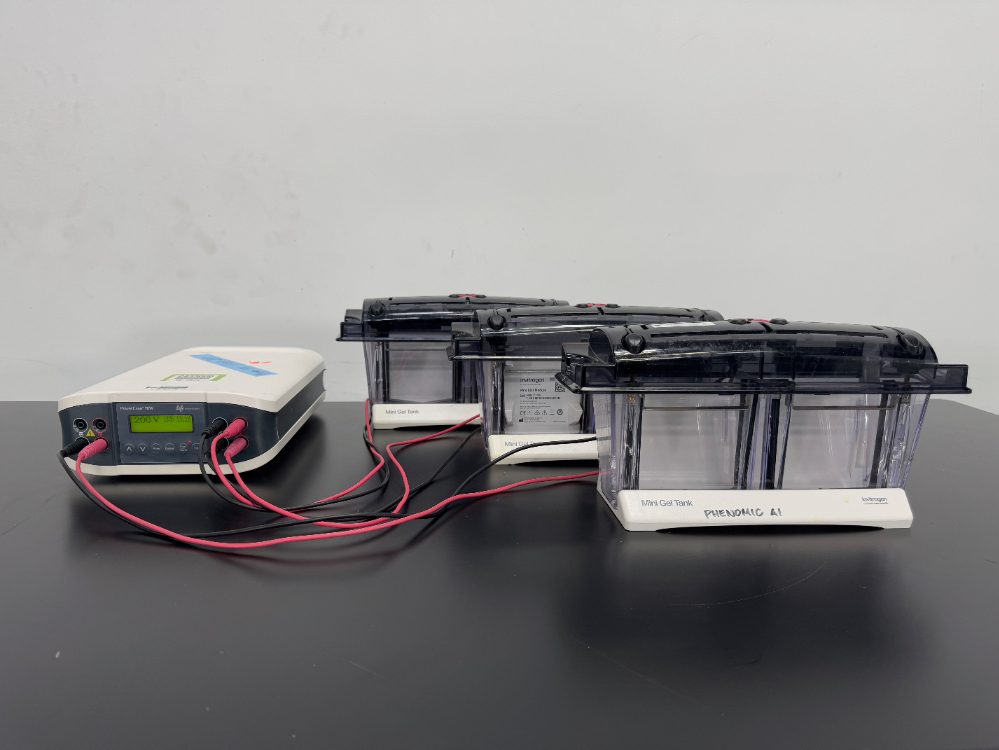 Image of Life Technologies PowerEase Power Supply